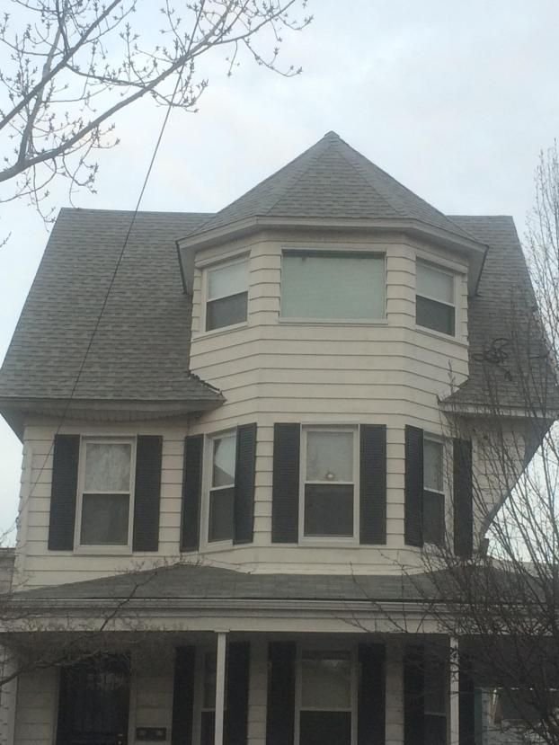 Professional Roofing